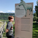 Wildpark Feldkirch