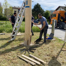 maibaum h__chst _2_.jpg