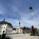 maibaum h__chst _15_.jpg