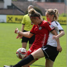 2 - Kopie.jpg