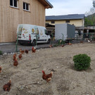 Gefluegelhof20220429_2022-04-29_18-38-16.jpg
