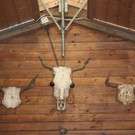 IMG_1293neu.JPG