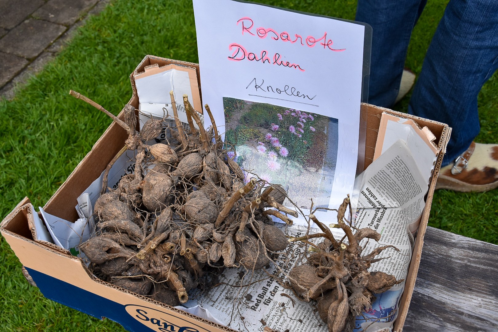 20220501_Pflanzentauschb__rse-9.jpg