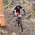 Scherrer in Tirol Fünfzehnter
