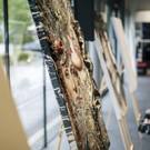 006-Netzf__rKinder-__nussbaumerphotography_com.jpg
