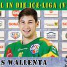 Chris D\'Alvise bleibt beim EHC Lustenau - Wallenta wechselt nach Villach