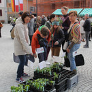 IMG_5950.JPG