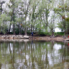 Seeufer _31_.JPG