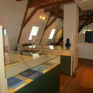 IMG_5270.JPG