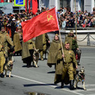 AFP_329Q6FE.jpg