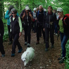 Bild 4nn.jpg
