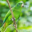 fb_rotspiegelamazone_09052022_tgs_zupanc_02_m__nnchen.jpg