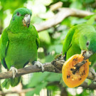 fb_rotspiegelamazone_09052022_tgs_zupanc_06.jpg