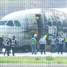 AFP_329X639.jpg