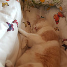 IMG-20210403-WA0008.jpg