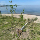 csm_IMG_6669_fb8439dcb8.jpg