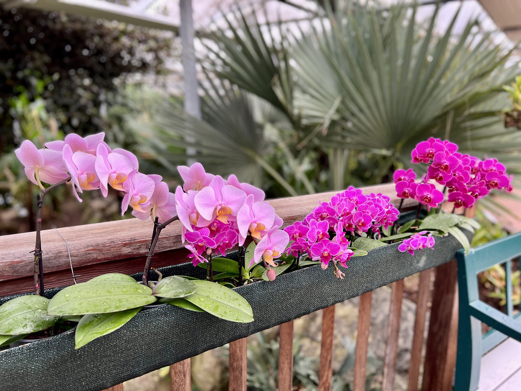 22_ Muttertag Su__dtirol 22.jpg