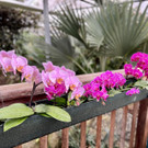 22_ Muttertag Su__dtirol 22.jpg