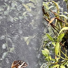 23_ Muttertag Su__dtirol 22.jpg