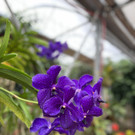 26_ Muttertag Su__dtirol 22.jpg