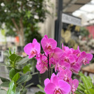 27_ Muttertag Su__dtirol 22.jpg