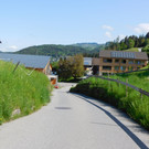 DSCI7347.JPG