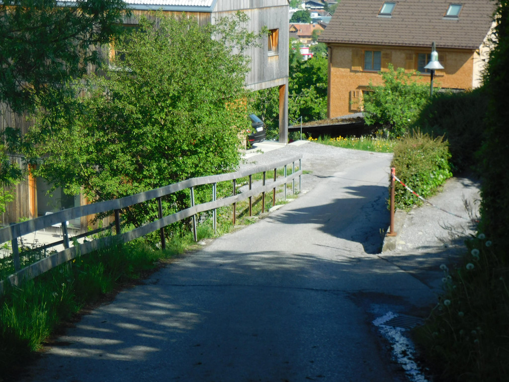 DSCI7348.JPG