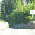 DSCI7349.JPG