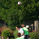 DSC06316a_608x1000.jpg