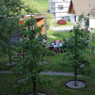 IMG_0812.JPG