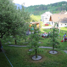 IMG_0813.JPG