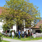 c_Scopoli_20220515_0058.JPG