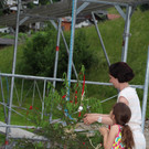 IMG_1552a.jpg