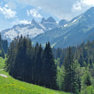 AlpeSpora2_1.jpg