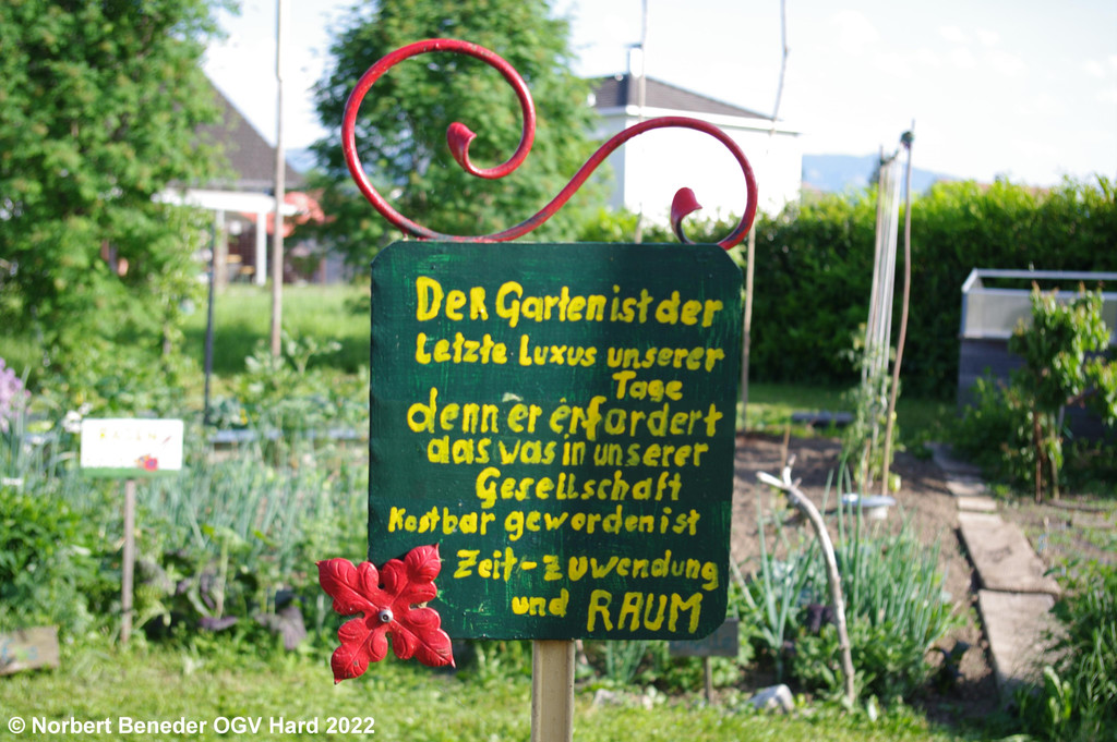 Treffpunkt_Garten_2_005.jpg