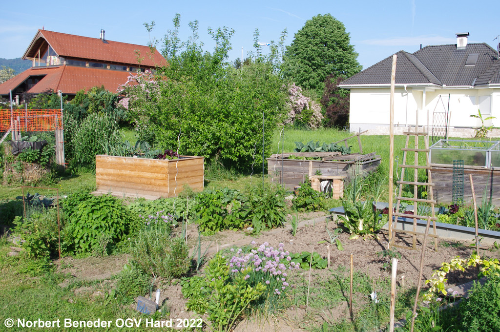 Treffpunkt_Garten_2_006.jpg