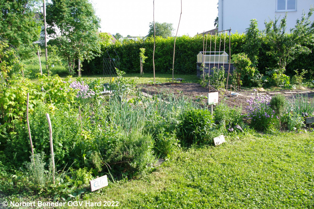 Treffpunkt_Garten_2_007.jpg