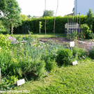 Treffpunkt_Garten_2_007.jpg