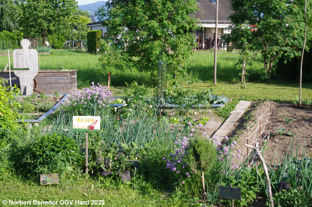 Treffpunkt_Garten_2_009.jpg