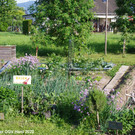 Treffpunkt_Garten_2_009.jpg