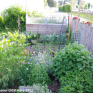 Treffpunkt_Garten_2_013.jpg
