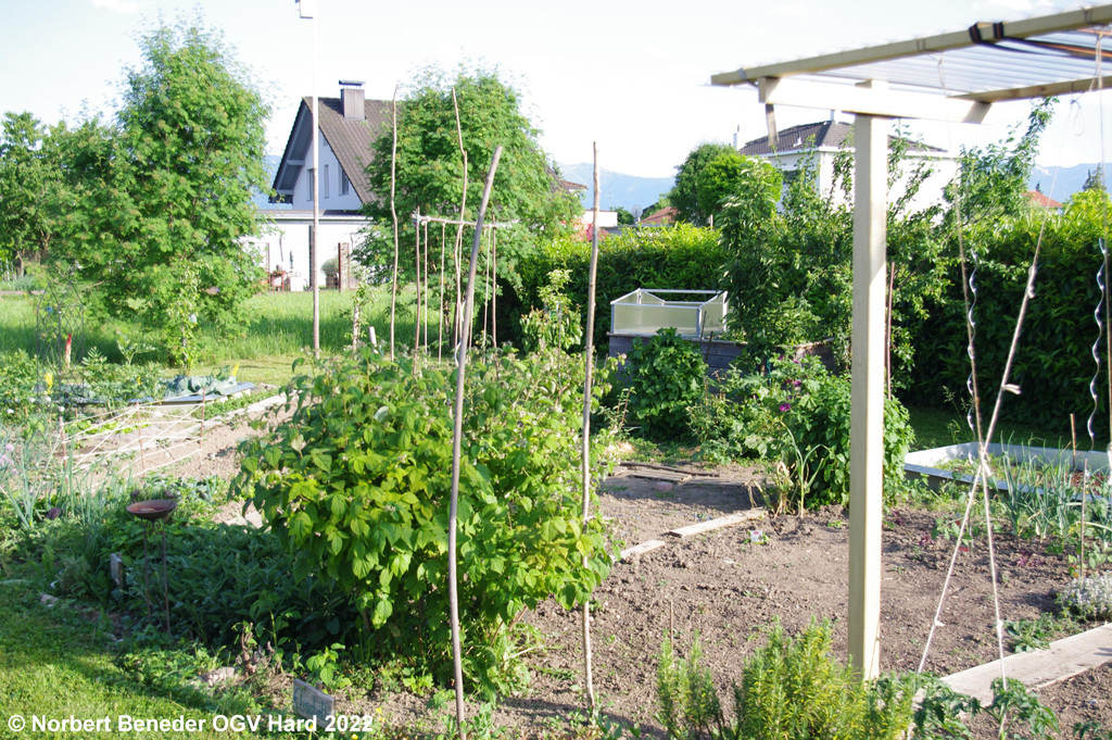 Treffpunkt_Garten_2_014.jpg