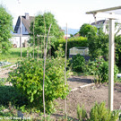 Treffpunkt_Garten_2_014.jpg