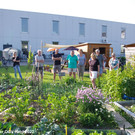 Treffpunkt_Garten_2_015.jpg