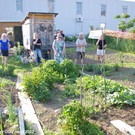 Treffpunkt_Garten_2_016.jpg