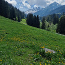 Bild 11nn.jpg