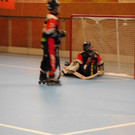 DSCI7412.JPG