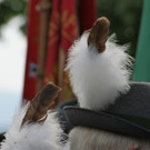 DSC04888.JPG