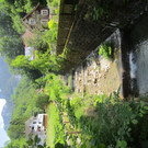 IMG_5333.JPG