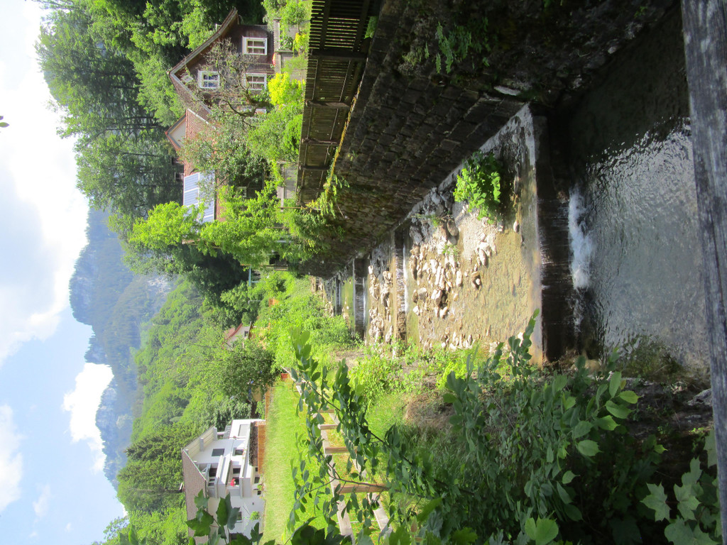 IMG_5333.JPG